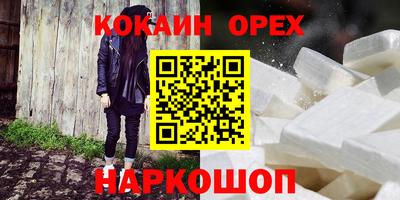 соль ск Новозыбков