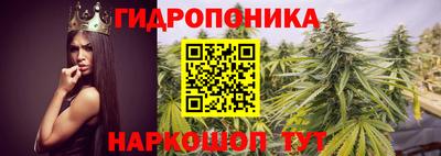 соль ск Новозыбков