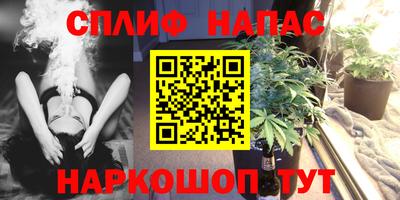 соль ск Новозыбков