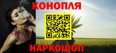 соль ск Новозыбков