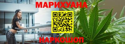 Альфа ПВП Новодвинск