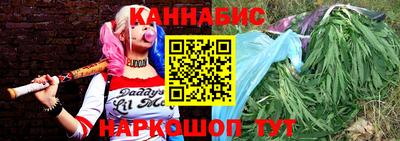 стафф Новокубанск