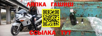 стафф Новокубанск